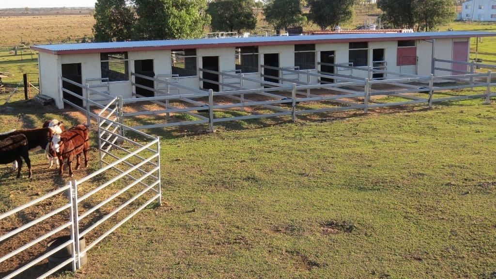 34 ACRES BRICK HOME, STABLES, Dalby QLD 4405, Image 2