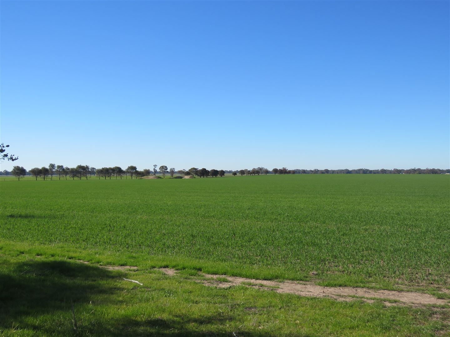 605 Avonmore - Mayreef Road, Avonmore VIC 3559, Image 2