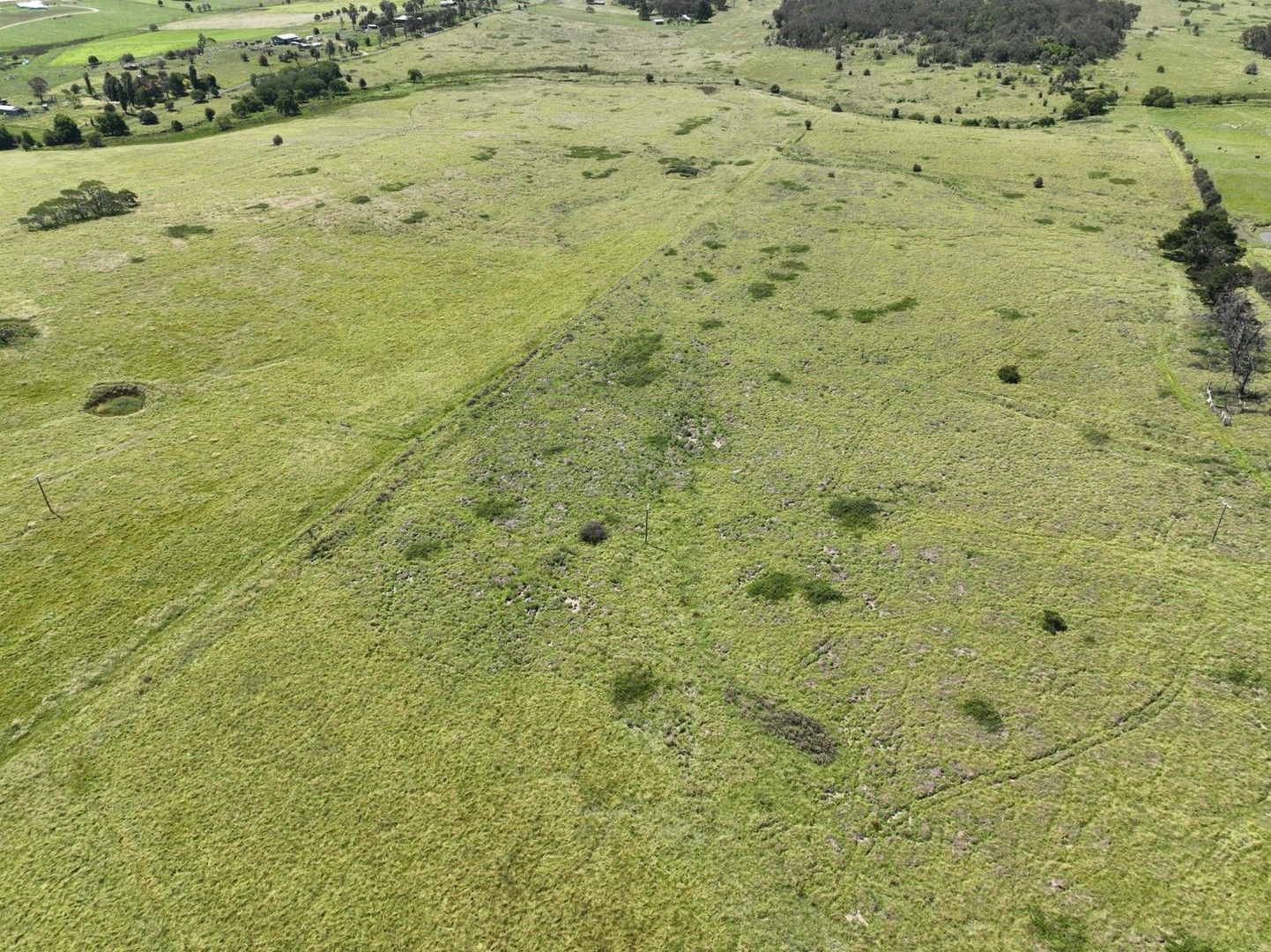 Rural in 409 Bellevue Road, TENTERFIELD NSW, 2372