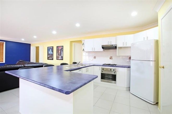 176 Rental Properties In Macarthur Gardens Nsw 2560 Domain