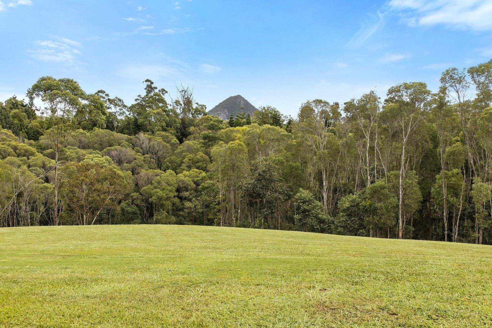 40 Uhlmanns Road, Black Mountain QLD 4563 Domain