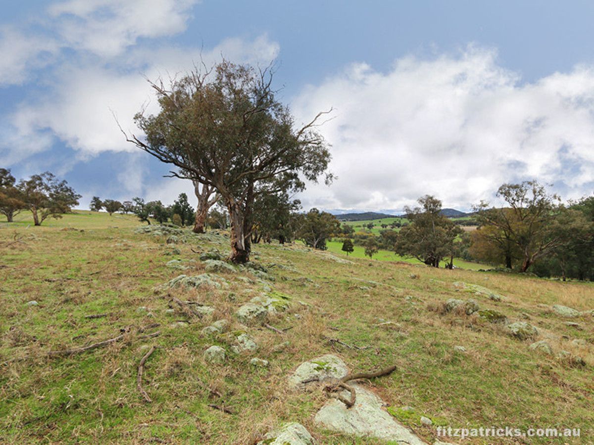 Lot 1 Holbrook Road, Maxwell NSW 2650, Image 2
