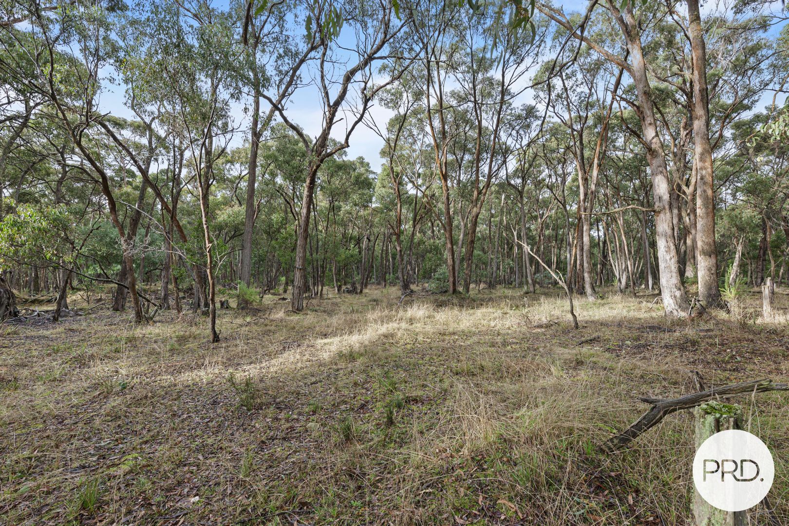 Lot 6 Victoria Road, Scarsdale VIC 3351, Image 2
