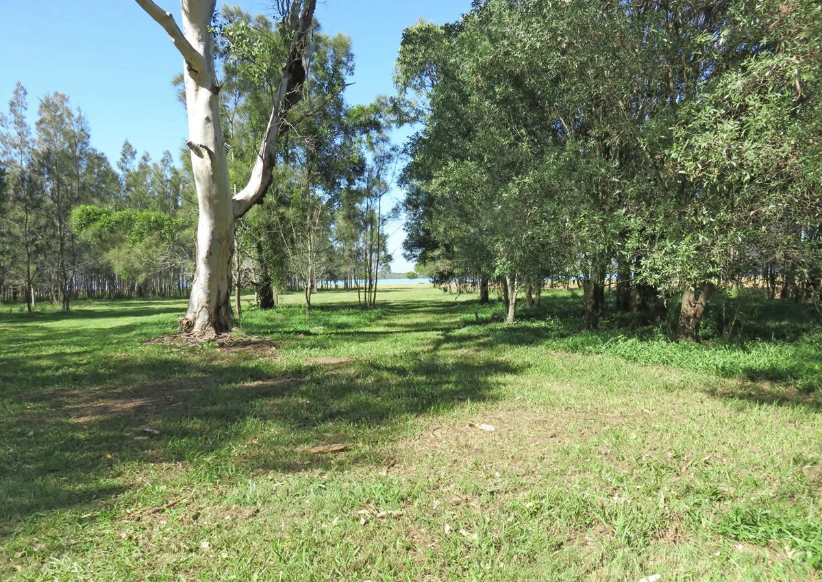 Image 20