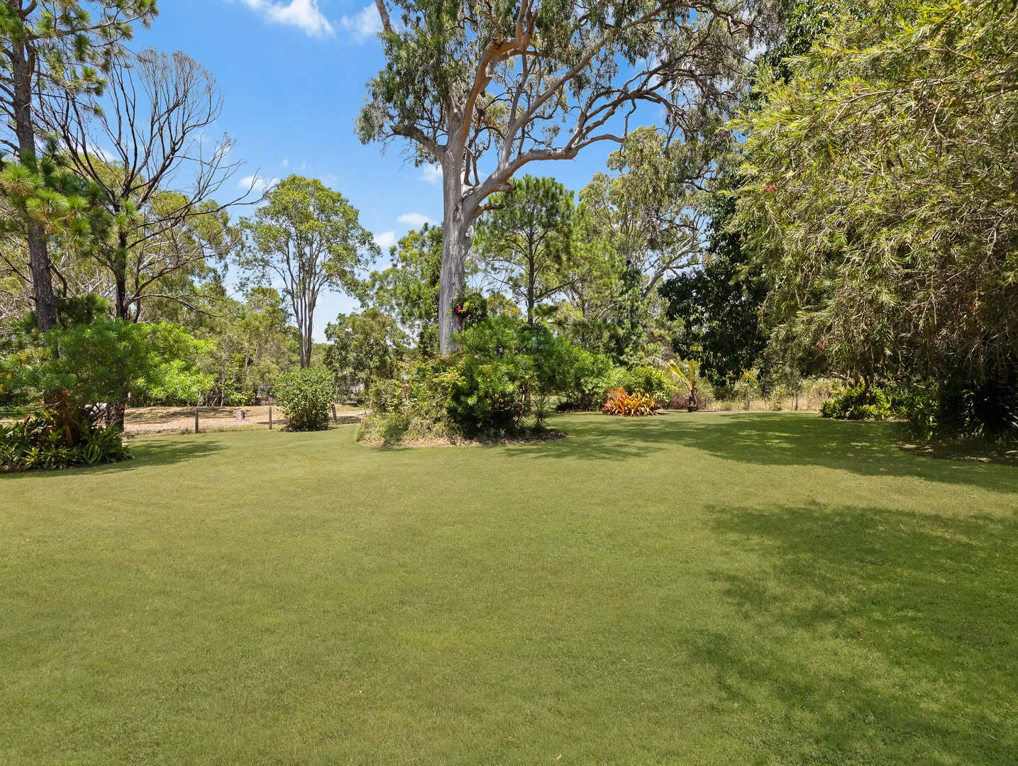 Image 18