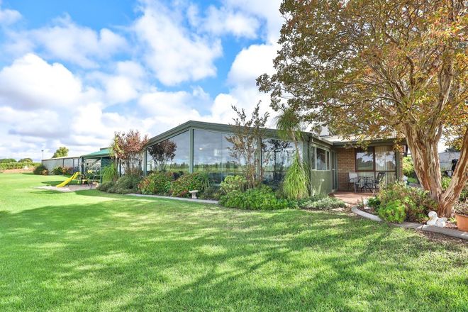 Picture of 255 Dumosa Street, RED CLIFFS VIC 3496