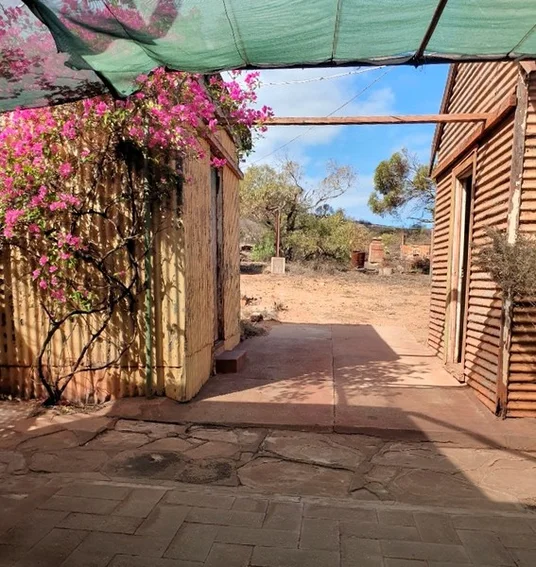 Image 11