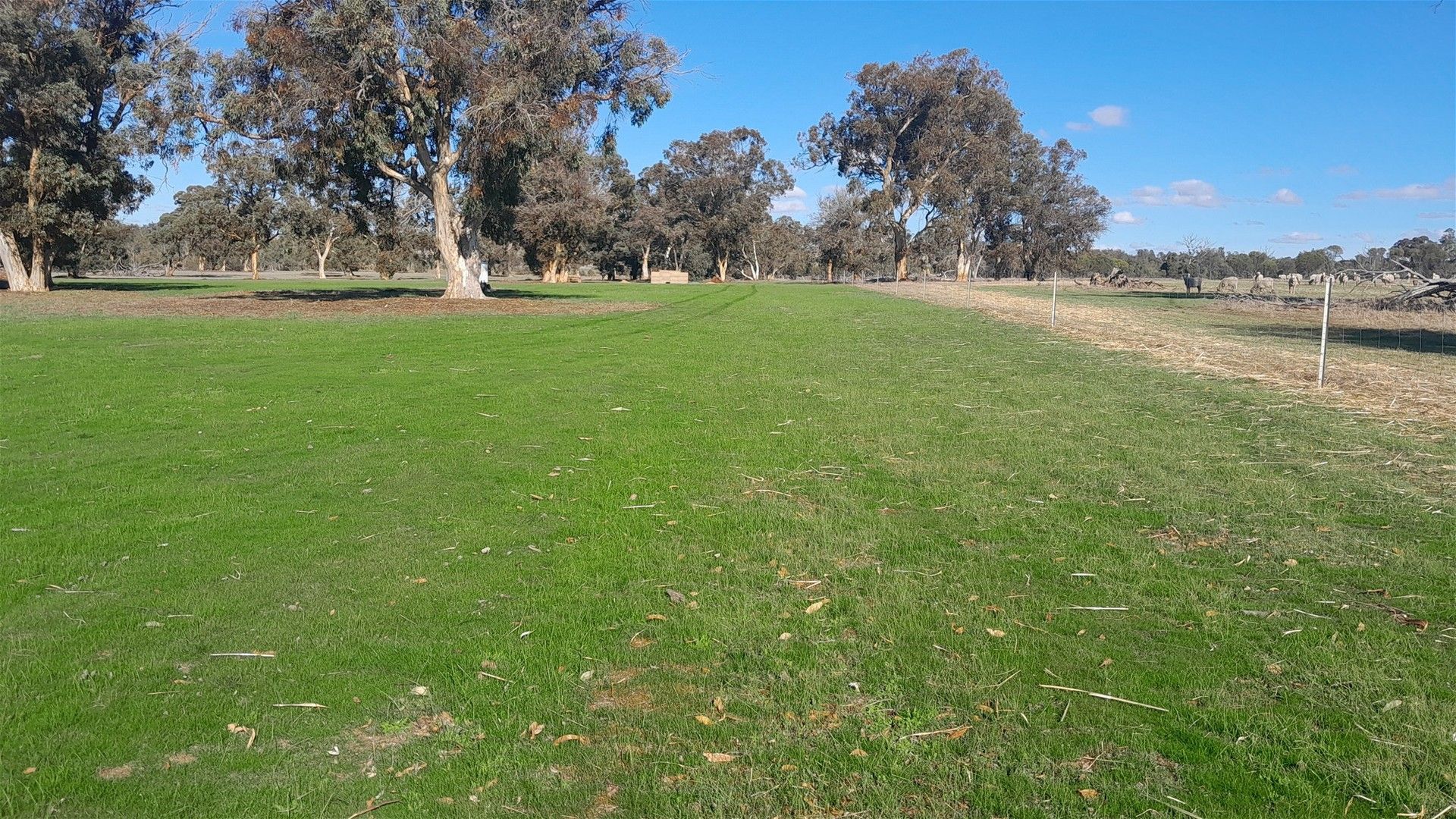 Lot 715/715 Mattiske Road, Katanning WA 6317, Image 0