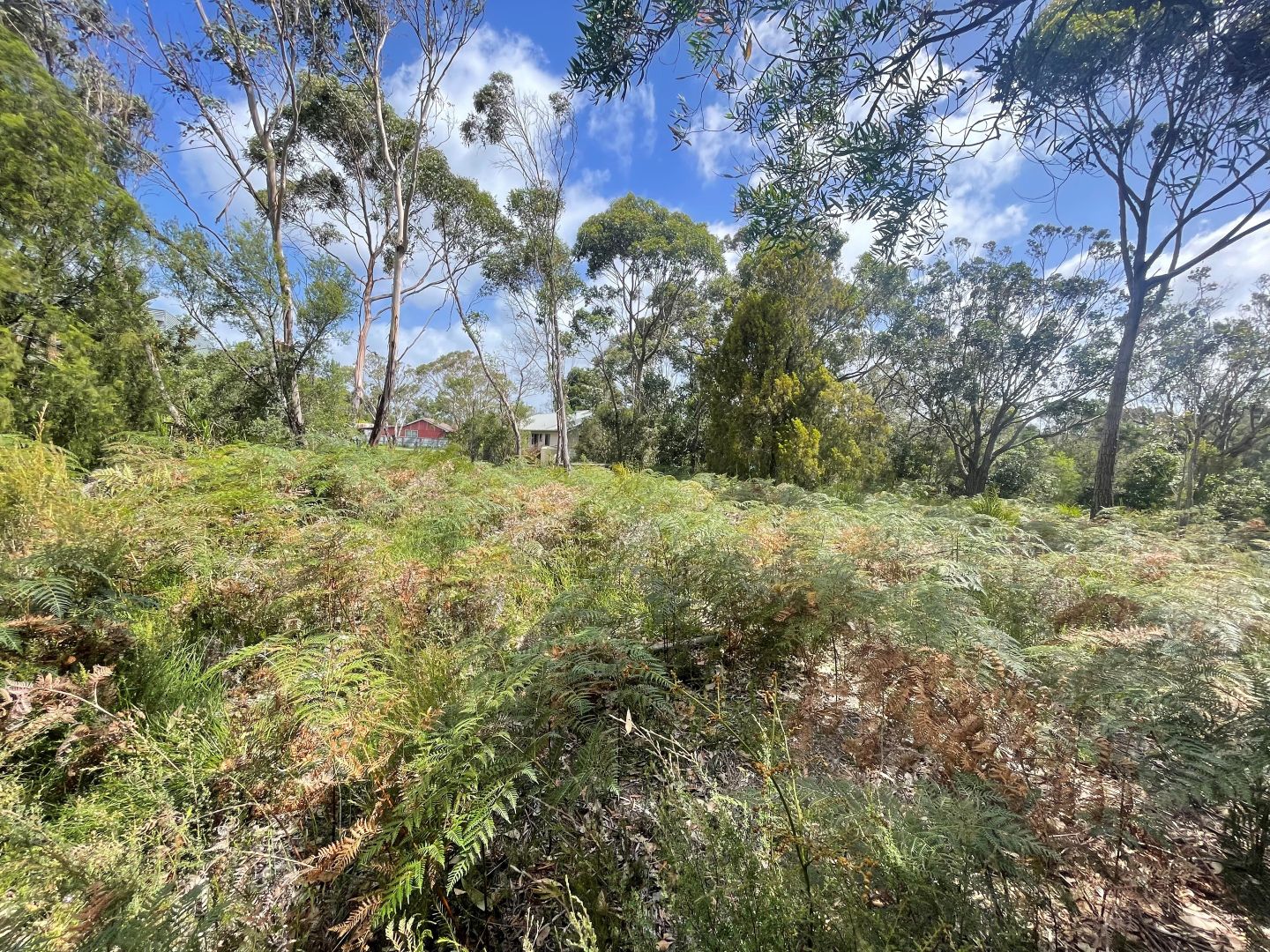 5 Heathlands Drive, Port Welshpool VIC 3965 Domain