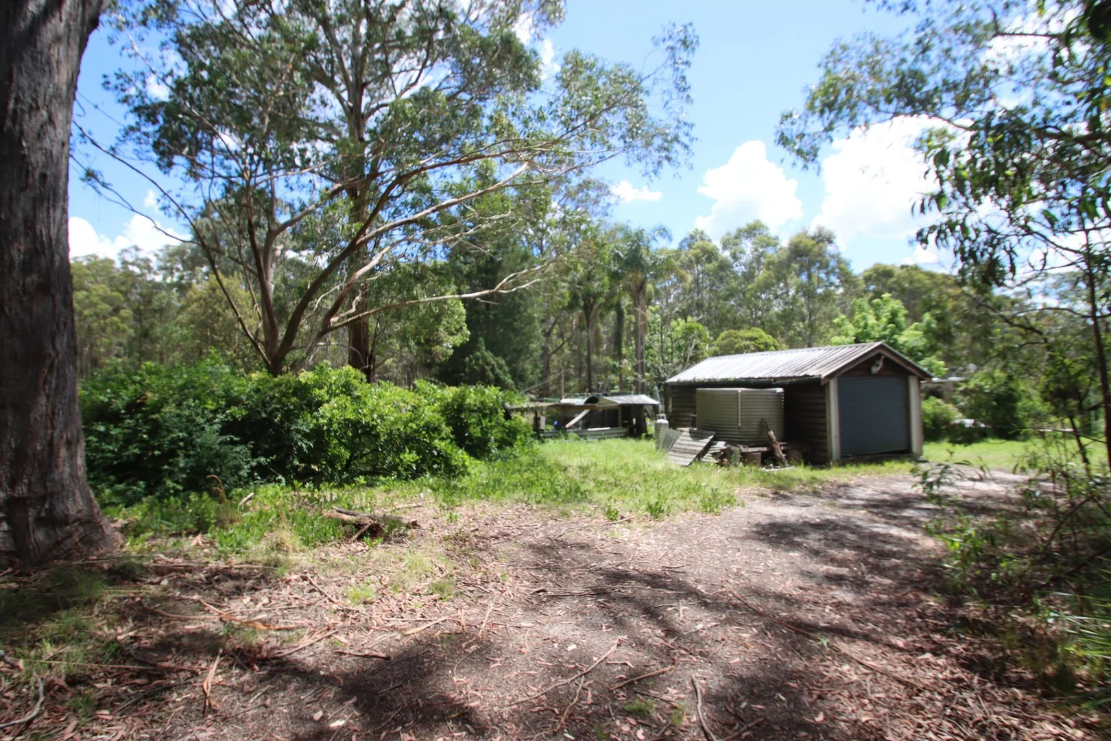 Image 15