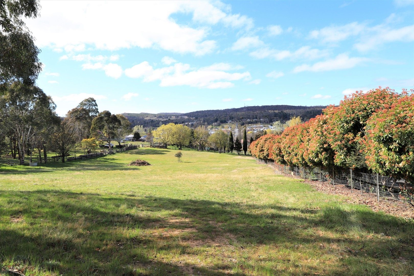 44-46 Queen Street, Bombala NSW 2632, Image 0