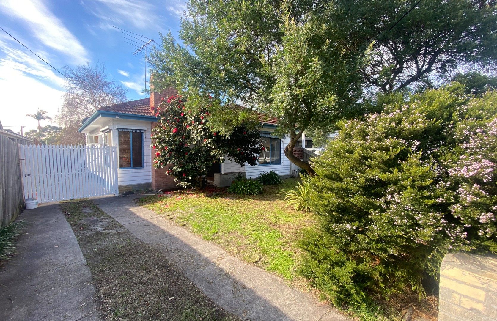 77 Whatley Street, Carrum VIC 3197 House For Rent 430 Domain