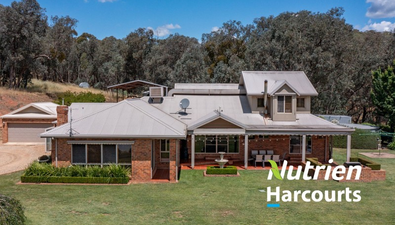 Picture of 250 Harpers Lane, GRETA SOUTH VIC 3675