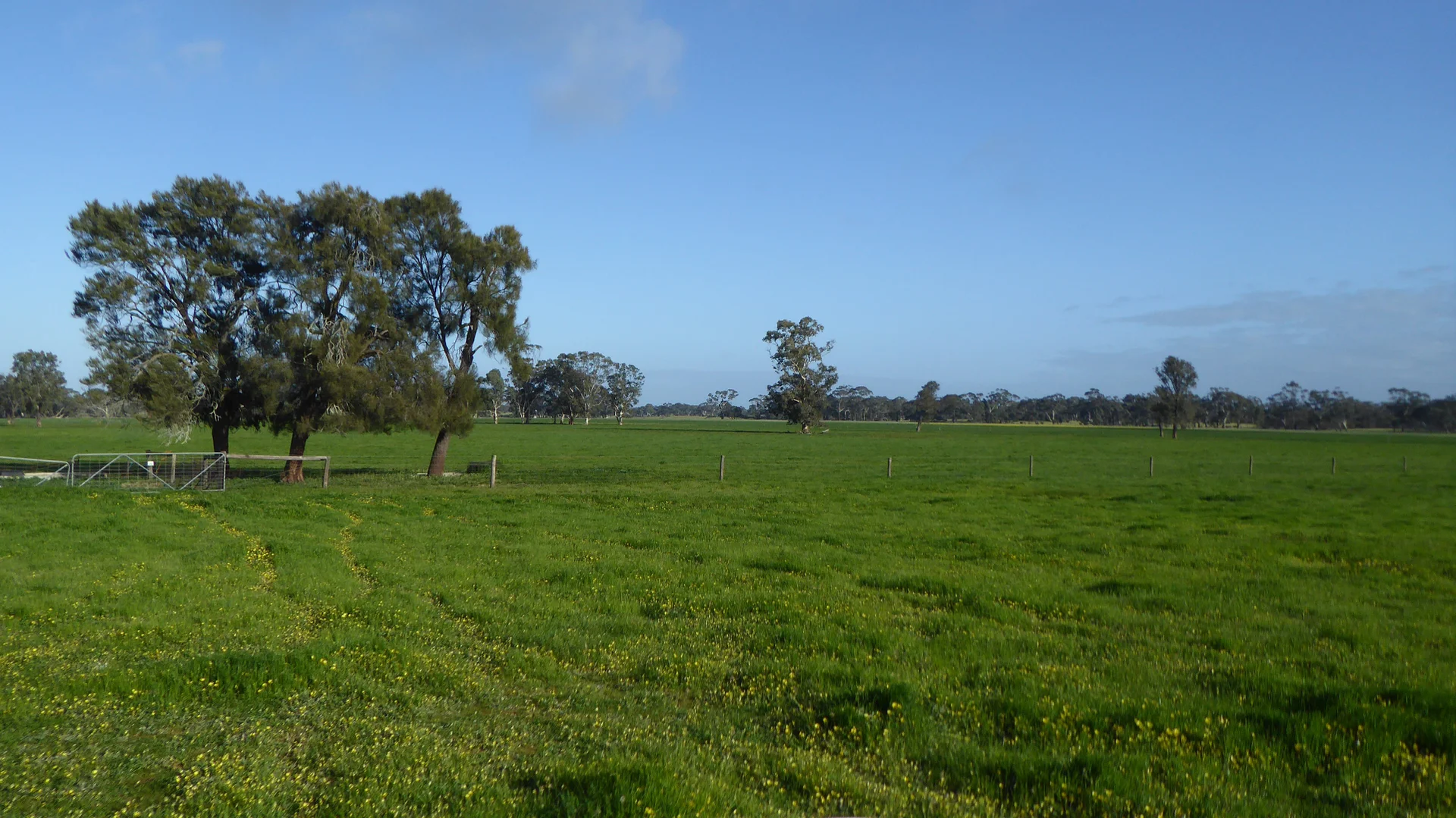 Image 14