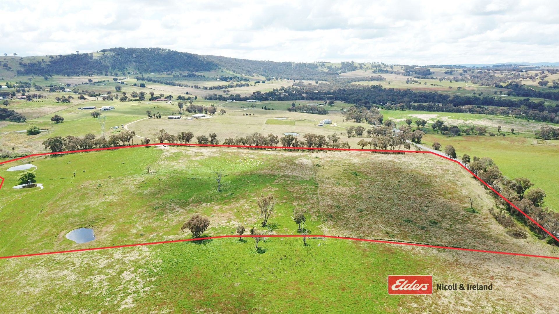 357 Mount Rankin Road, Mount Rankin NSW 2795, Image 1