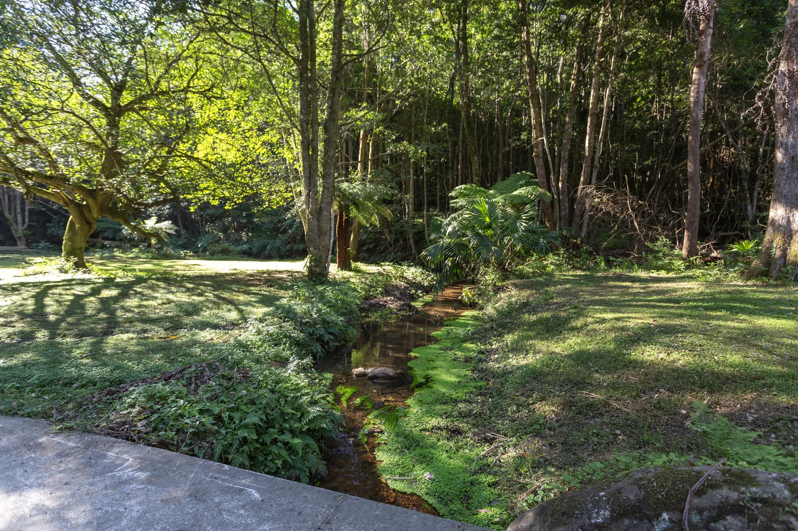 Image 27