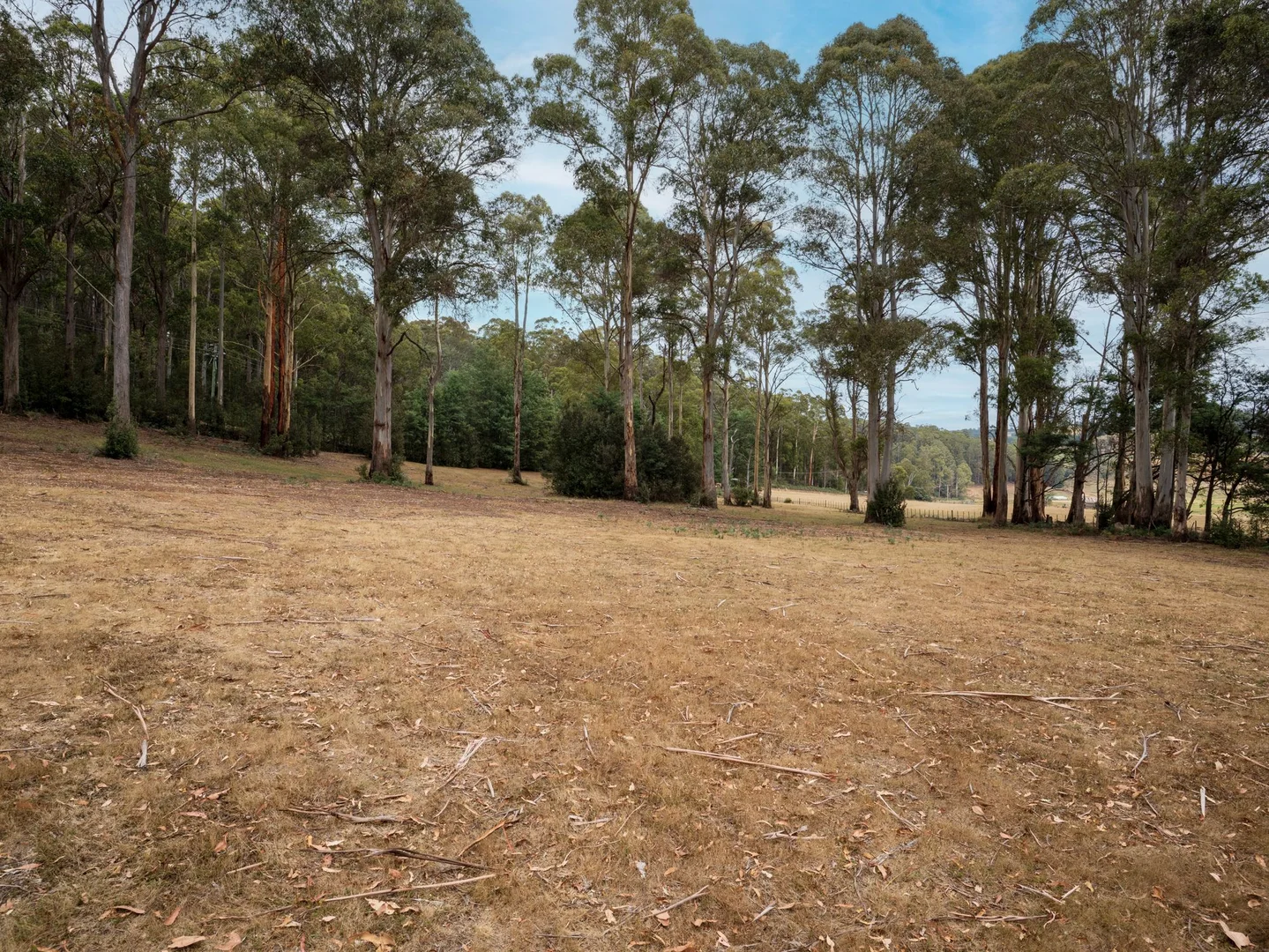 Additional image 5 of 167 Lake Barrington Road, Wilmot TAS 7310