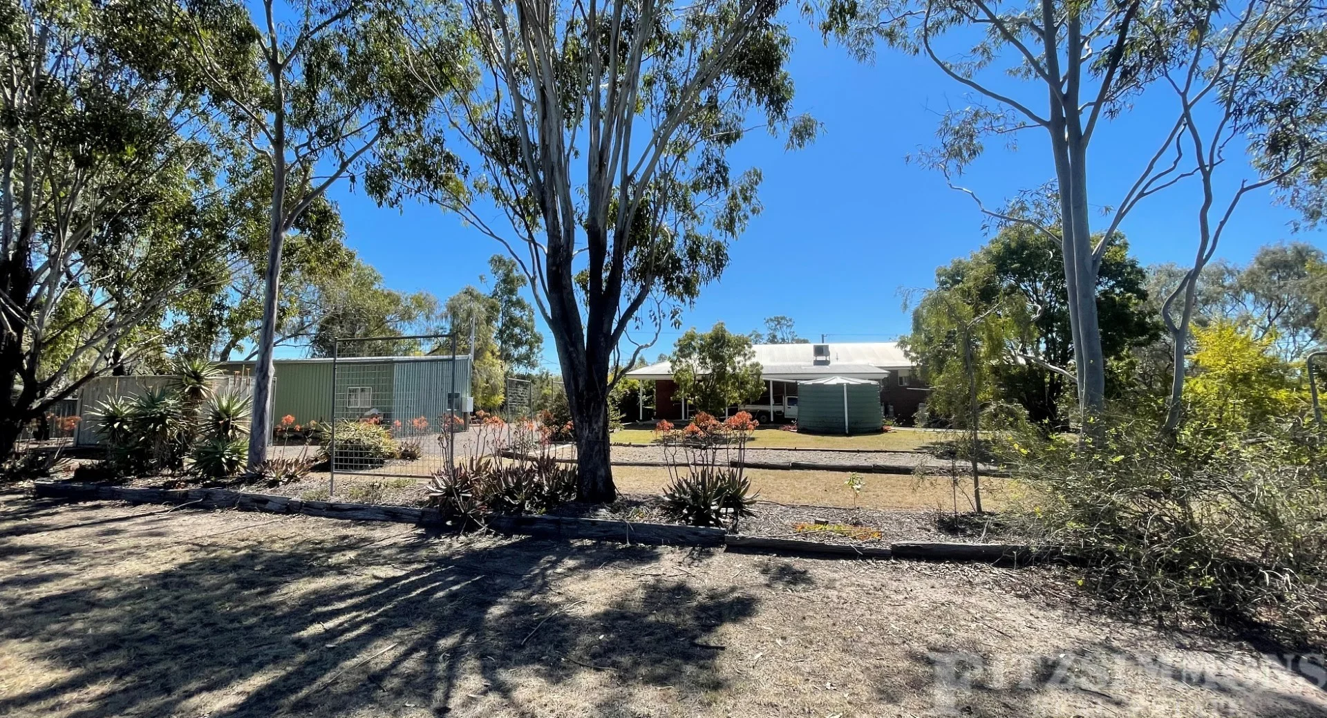Image 20