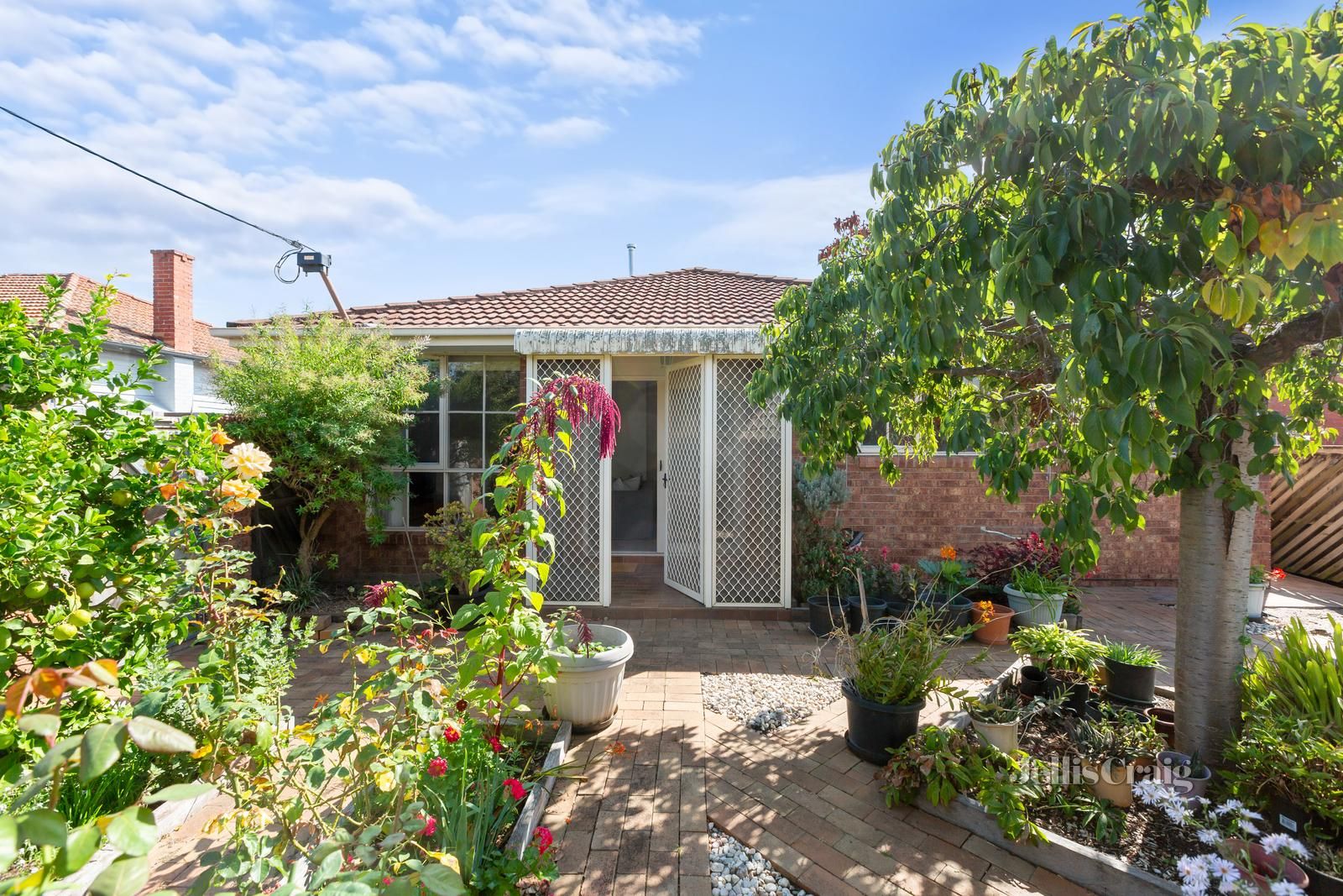 1/29 Burgess Street, Bentleigh VIC 3204, Image 0