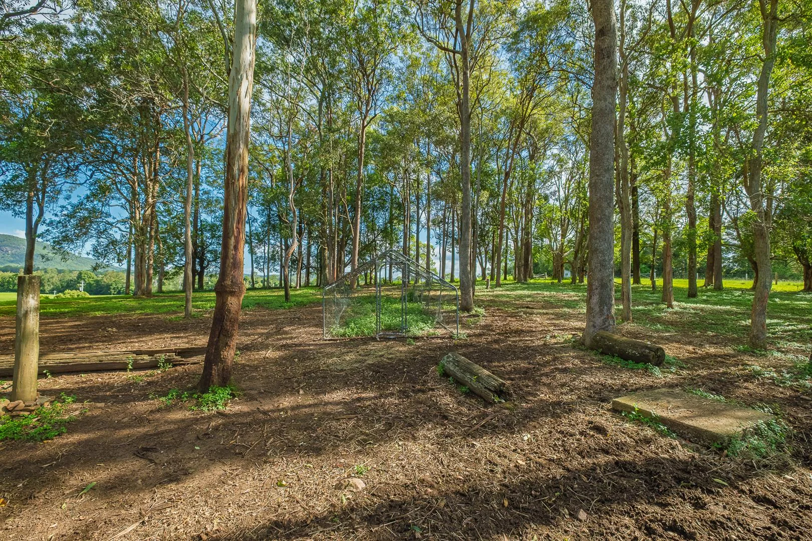 Additional image 30 of 40 McGinn Road, Gheerulla QLD 4574