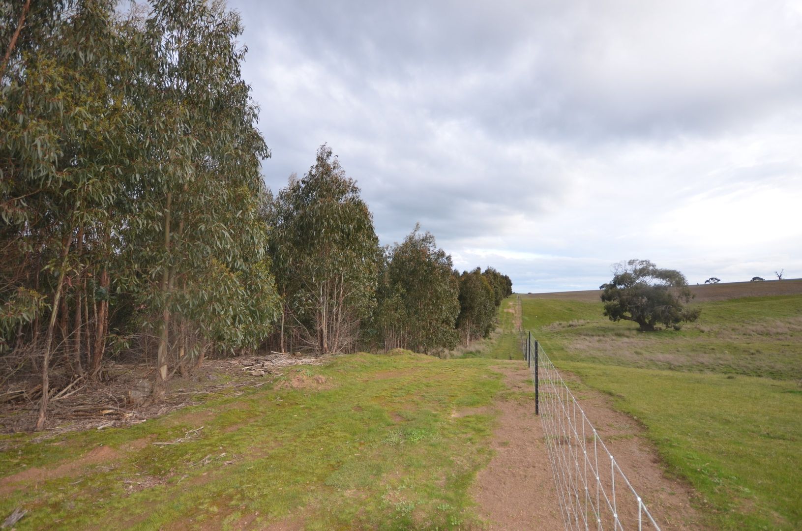 CA 46 Moreton Hill Road, Skipton VIC 3361, Image 1