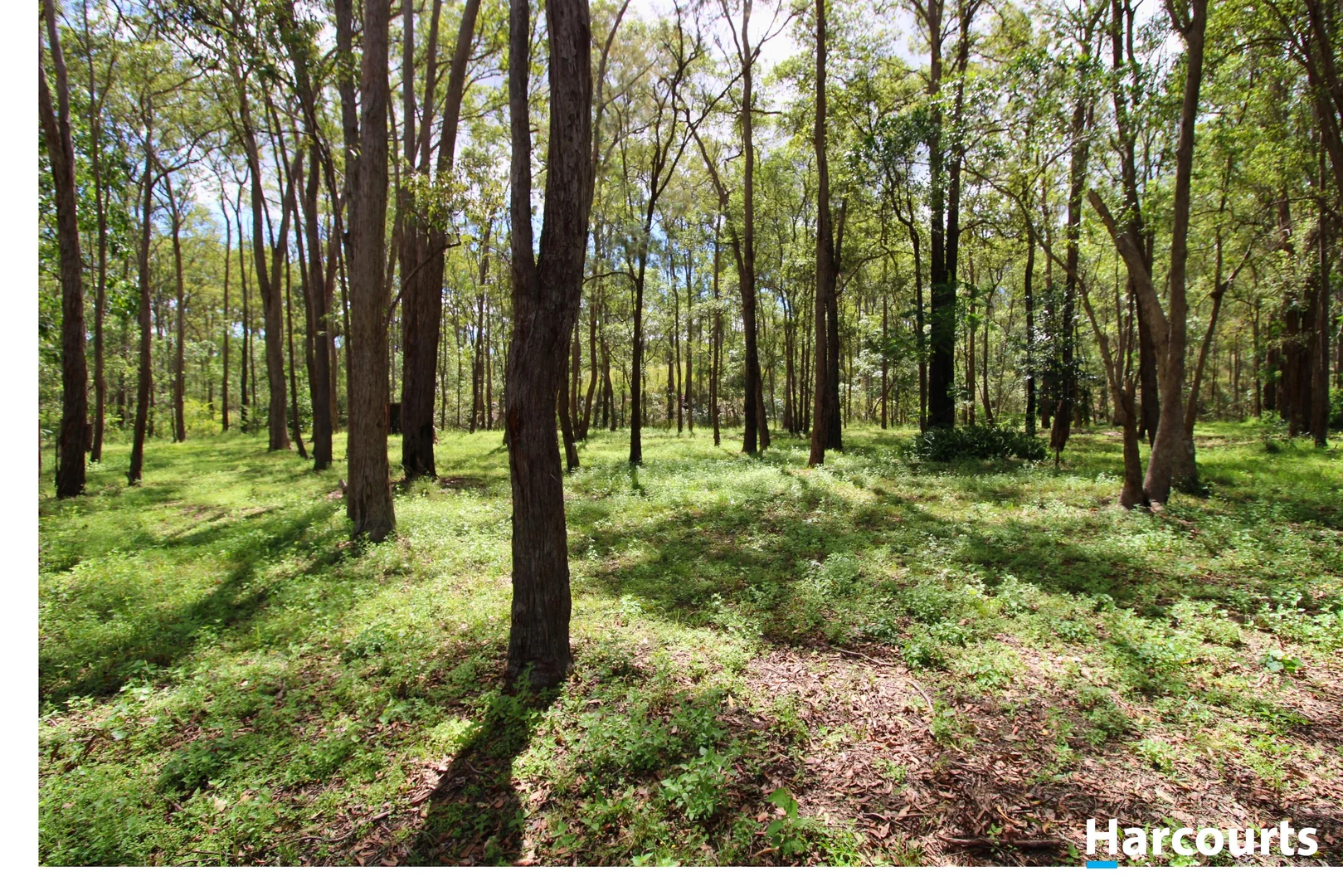 Additional image 23 of 529 Doughboy Road, Doughboy QLD 4671