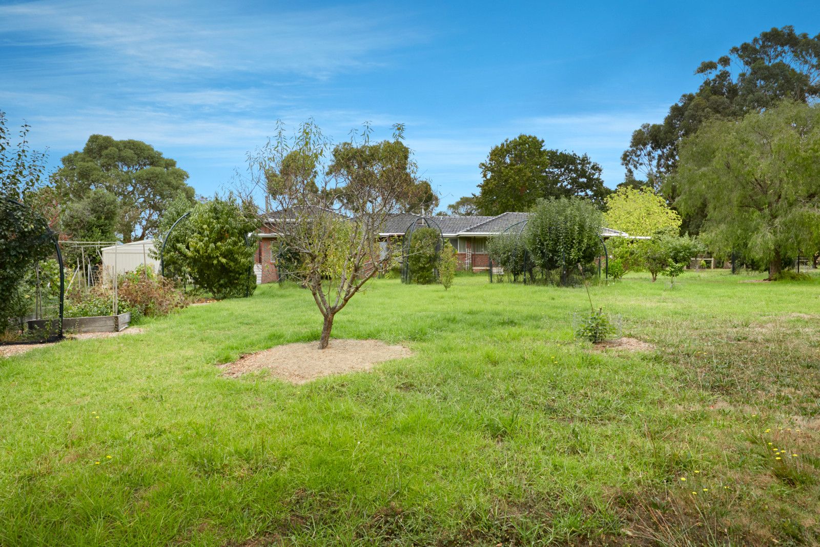 34 Young Street, Flinders VIC 3929, Image 2