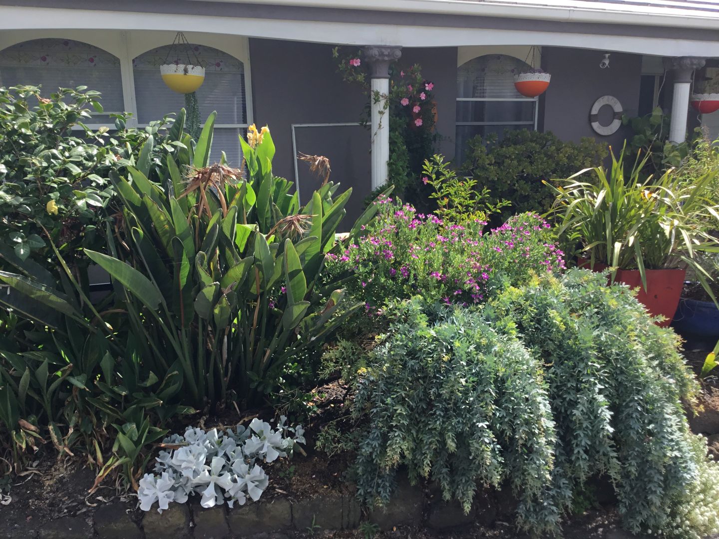 Aspendale VIC 3195 4 beds townhouse for Sale, 1,300,000 2017140306 Domain