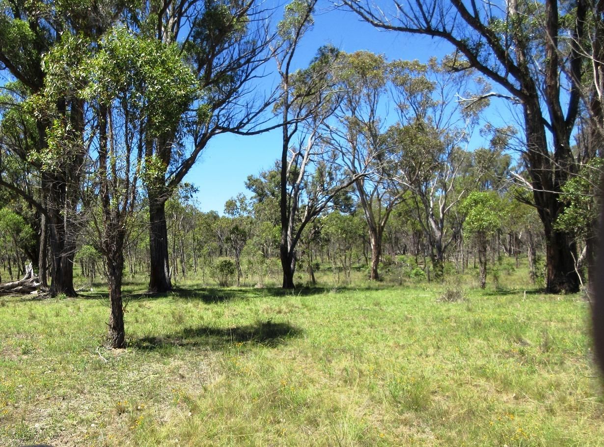 Lot 16 499 Balala Road, Uralla NSW 2358, Image 1