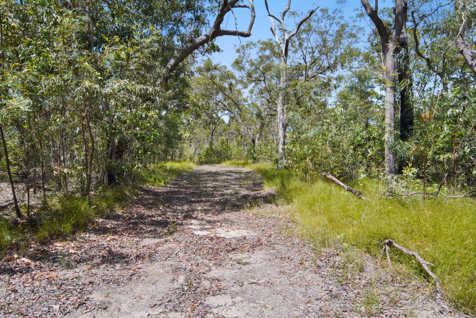 Image 22