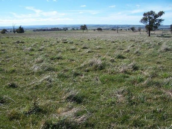 Lot 1 Peelwood Road, Laggan NSW 2583, Image 1