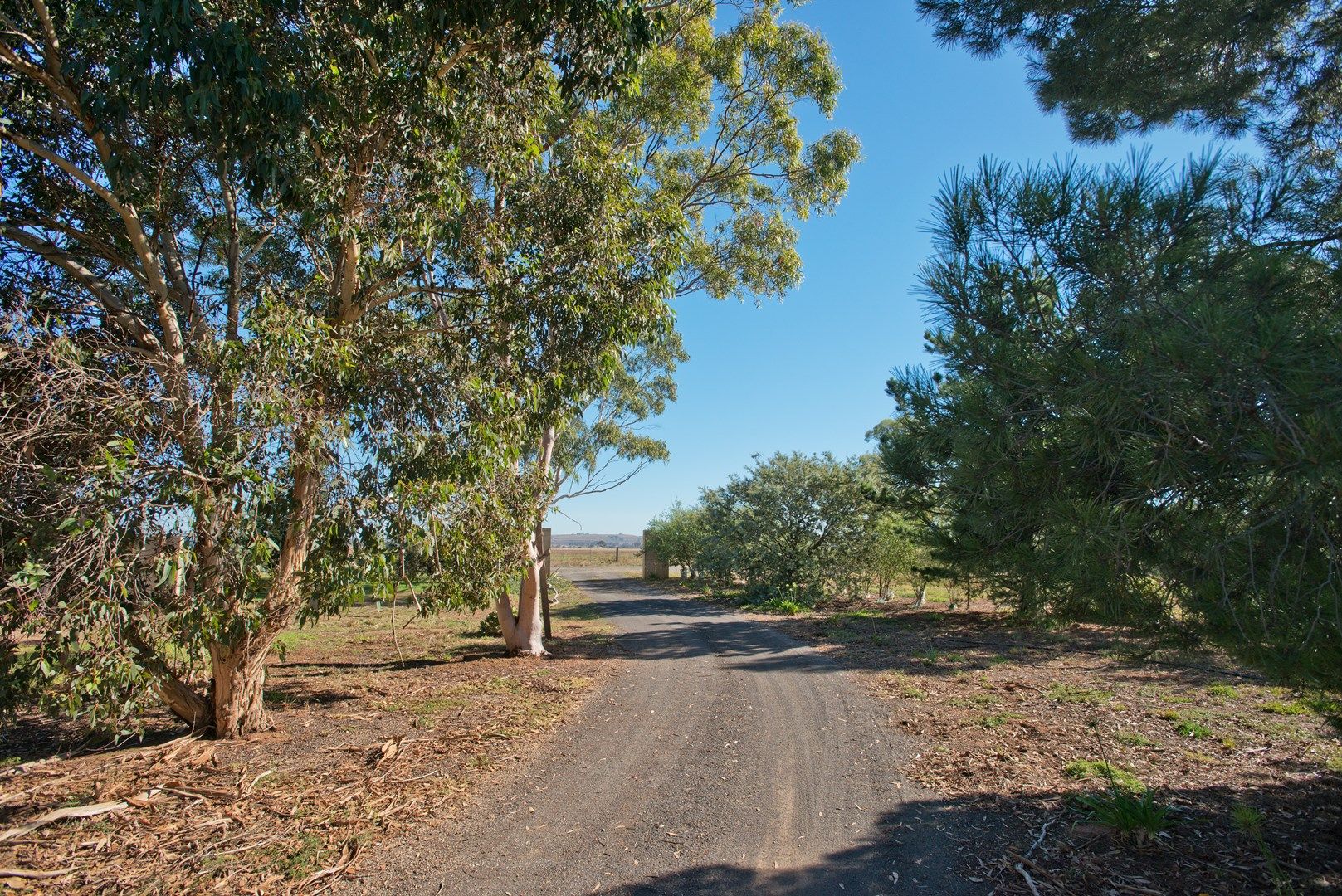 89 Jensz Road Road, Parwan VIC 3340, Image 1