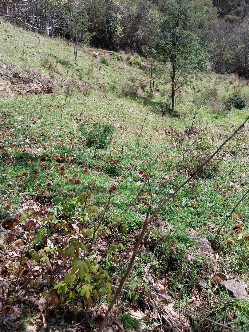 Image 19