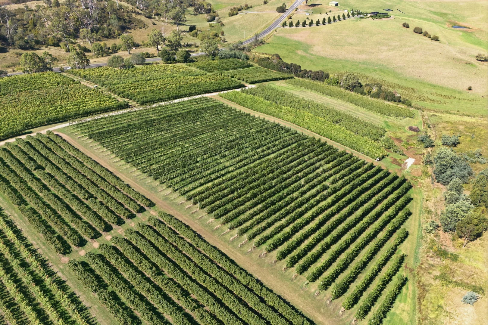 Additional image 23 of 161 John Lees Drive, Dilston TAS 7252