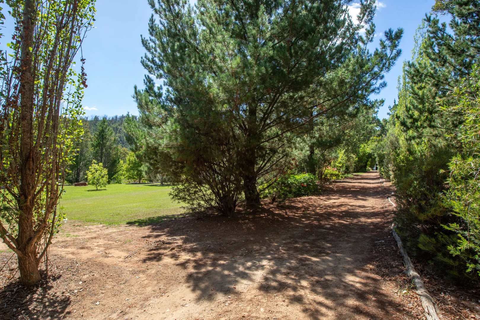 Additional image 14 of 618 New Buildings Road, Wyndham NSW 2550