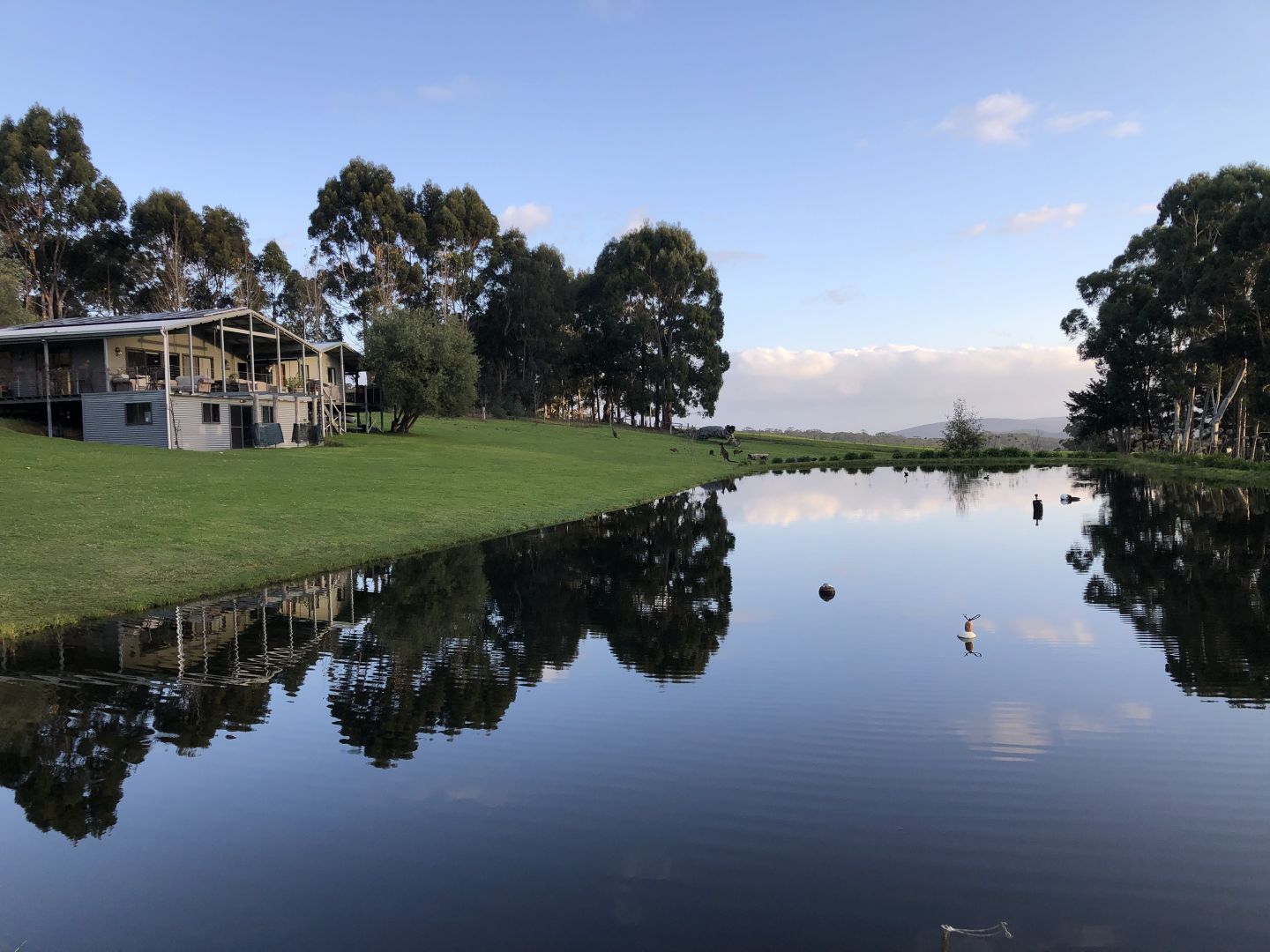 288 Jacksonii Avenue, Walpole WA 6398 House for Sale Domain