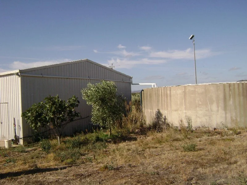 Image 12