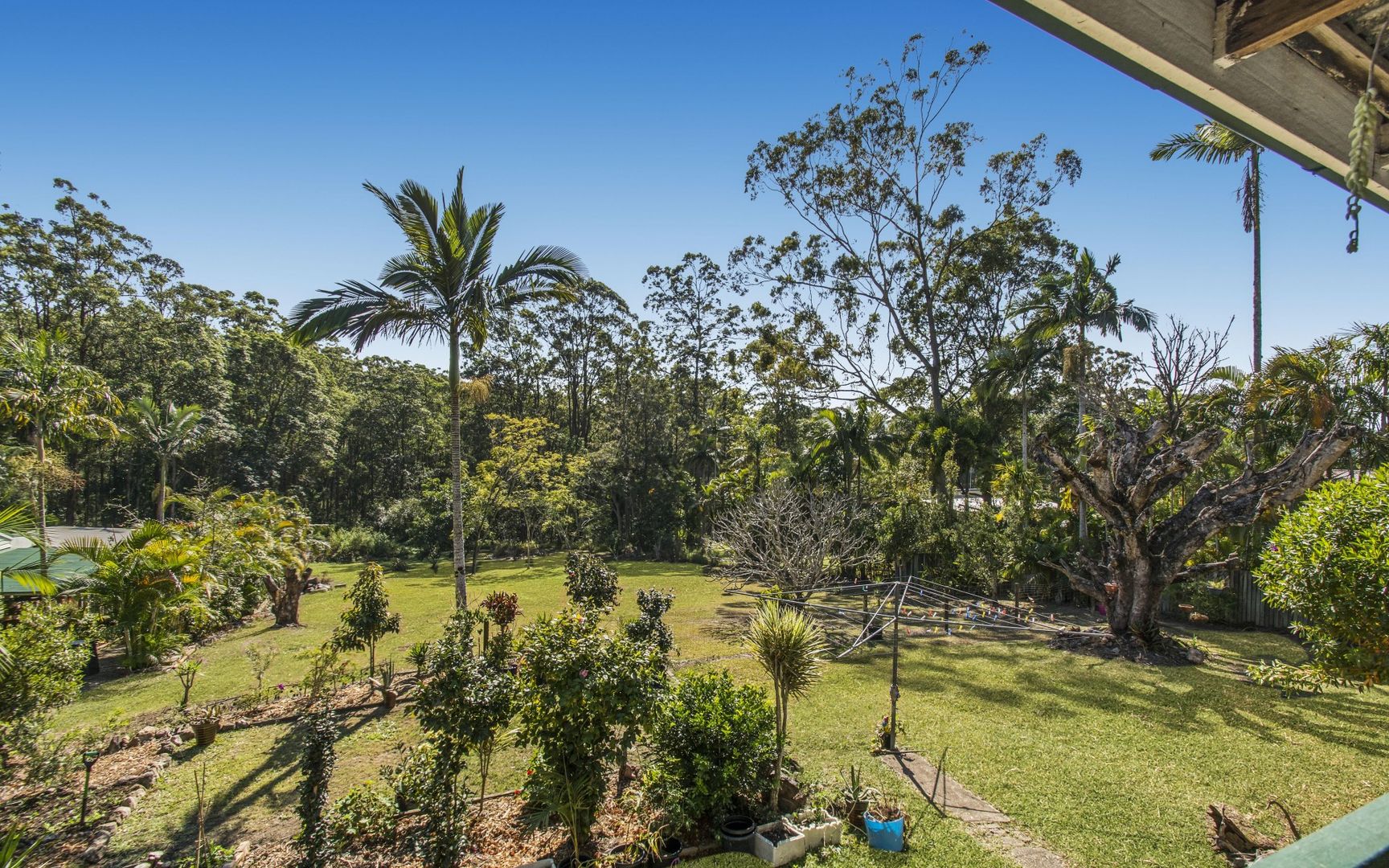 50 Cooloolabin Road, Yandina QLD 4561, Image 1