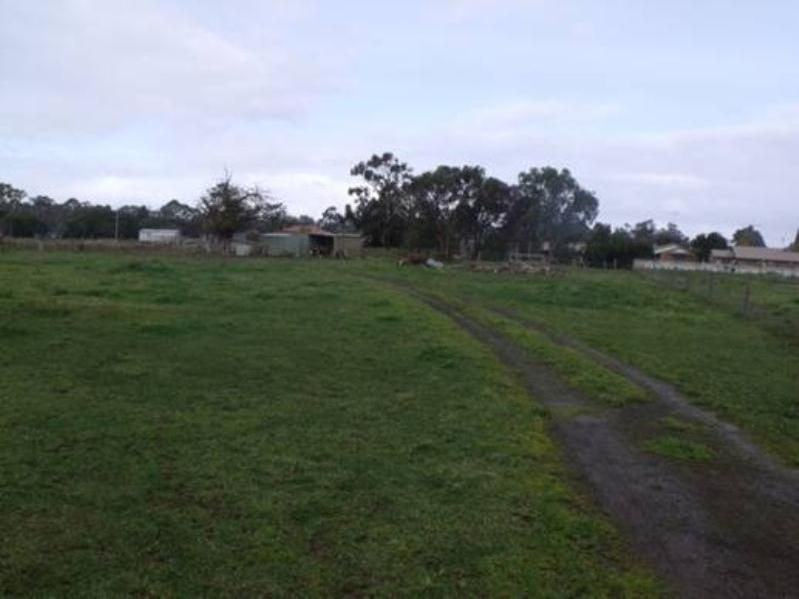 Lot 102 Cameron Street, Penola SA 5277, Image 1