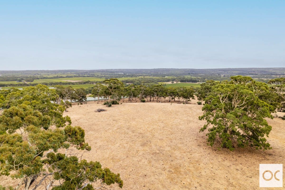 Lot 52 Pennys Hill Road, McLaren Vale SA 5171, Image 1