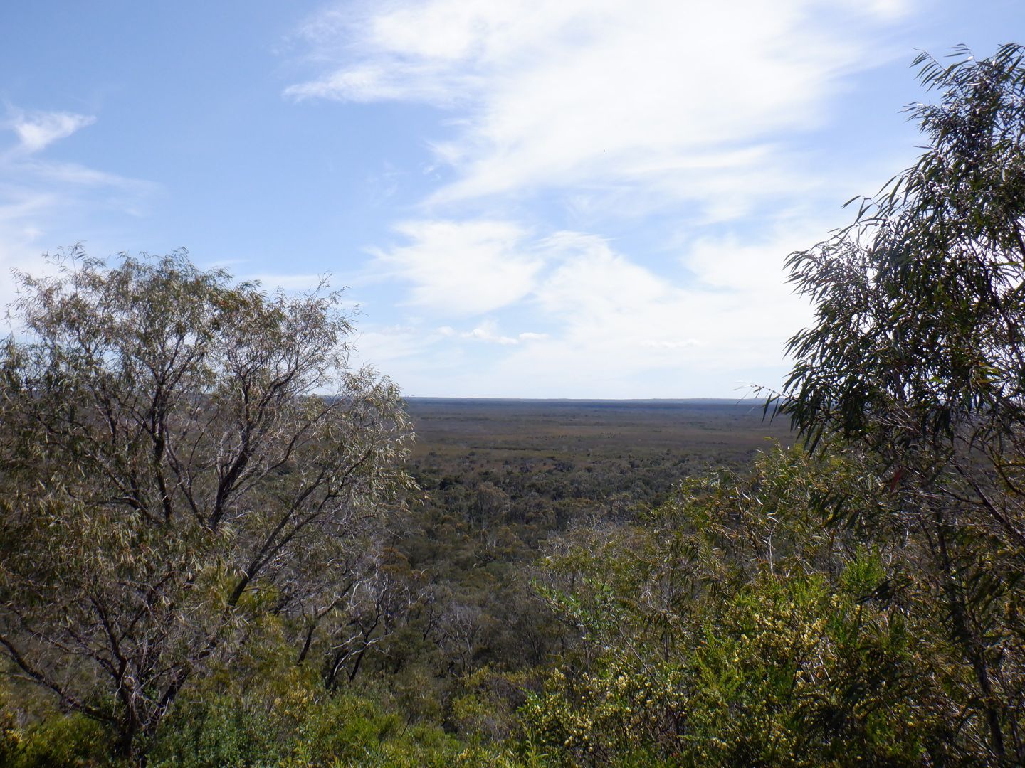 Lot 3 Woodarburrup Road, Scott River East WA 6275, Image 2