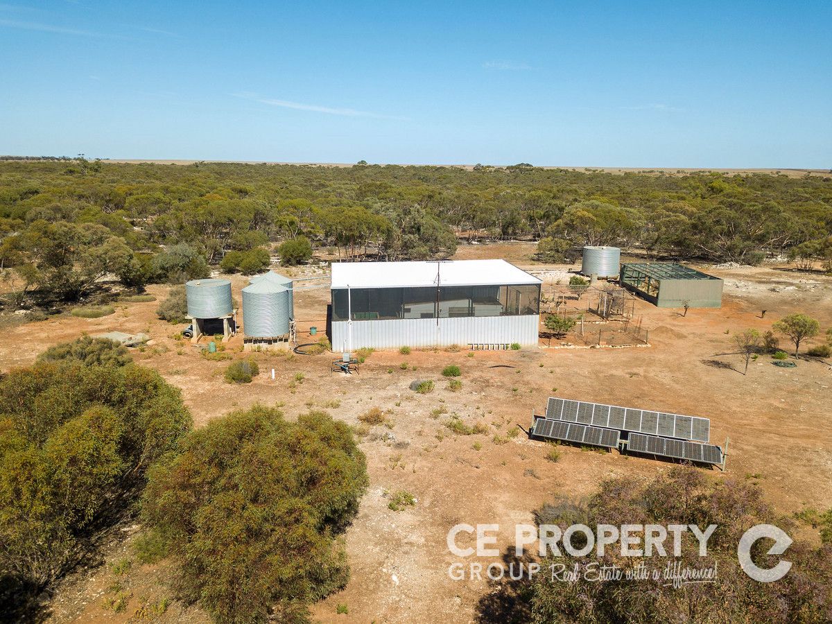 113 Mallee Road, Walker Flat SA 5238, Image 1