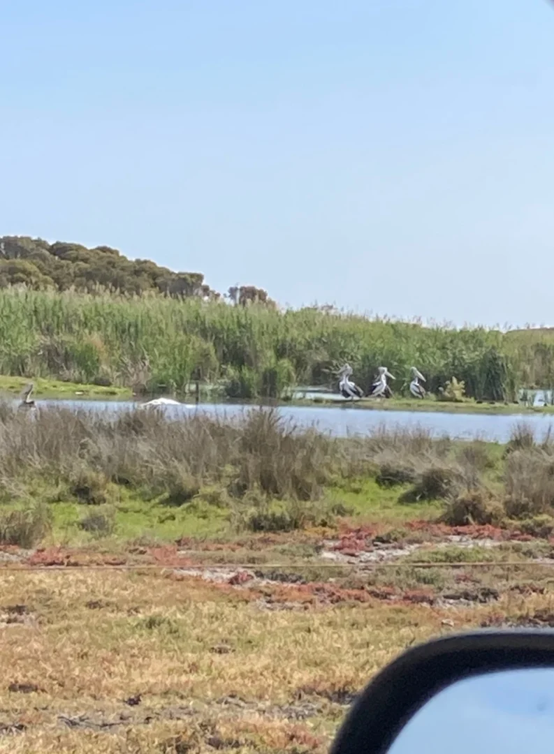 Additional image 3 of 1408A&B Randell Road, Hindmarsh Island SA 5214