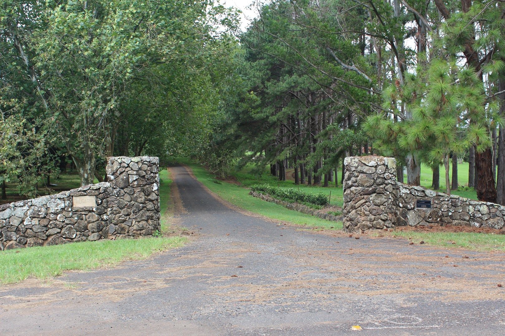 Lot 8/828 Fernleigh Road, Brooklet NSW 2479, Image 0