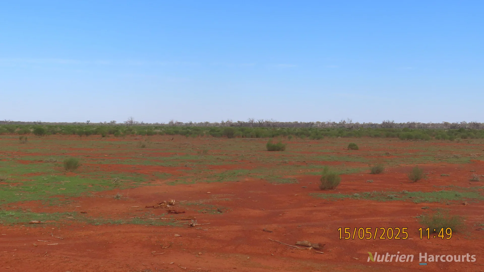 Additional image 27 of * CABLE DOWNS, Cobar NSW 2835