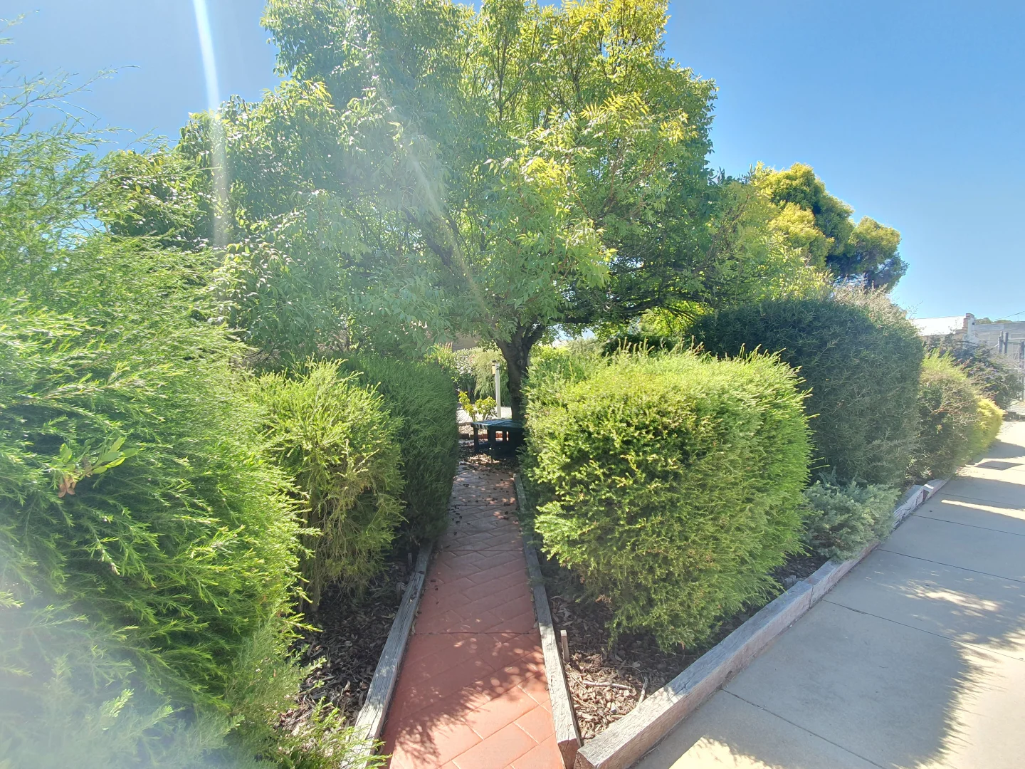 Image 22