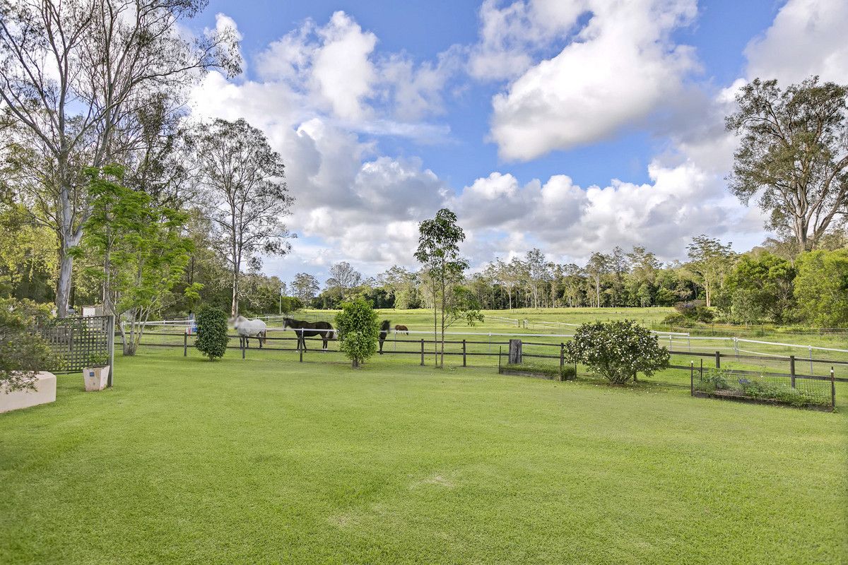 355 Cedar Creek Road, Belli Park QLD 4562, Image 1