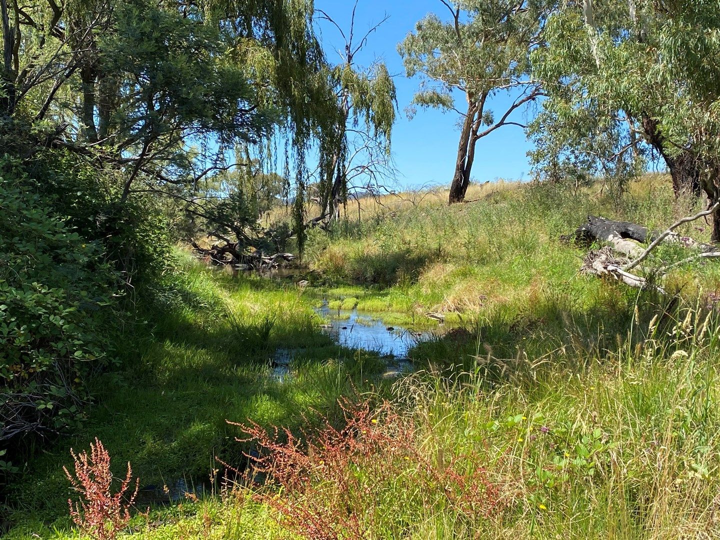 69 Campbells Creek Road, Mudgee NSW 2850, Image 0