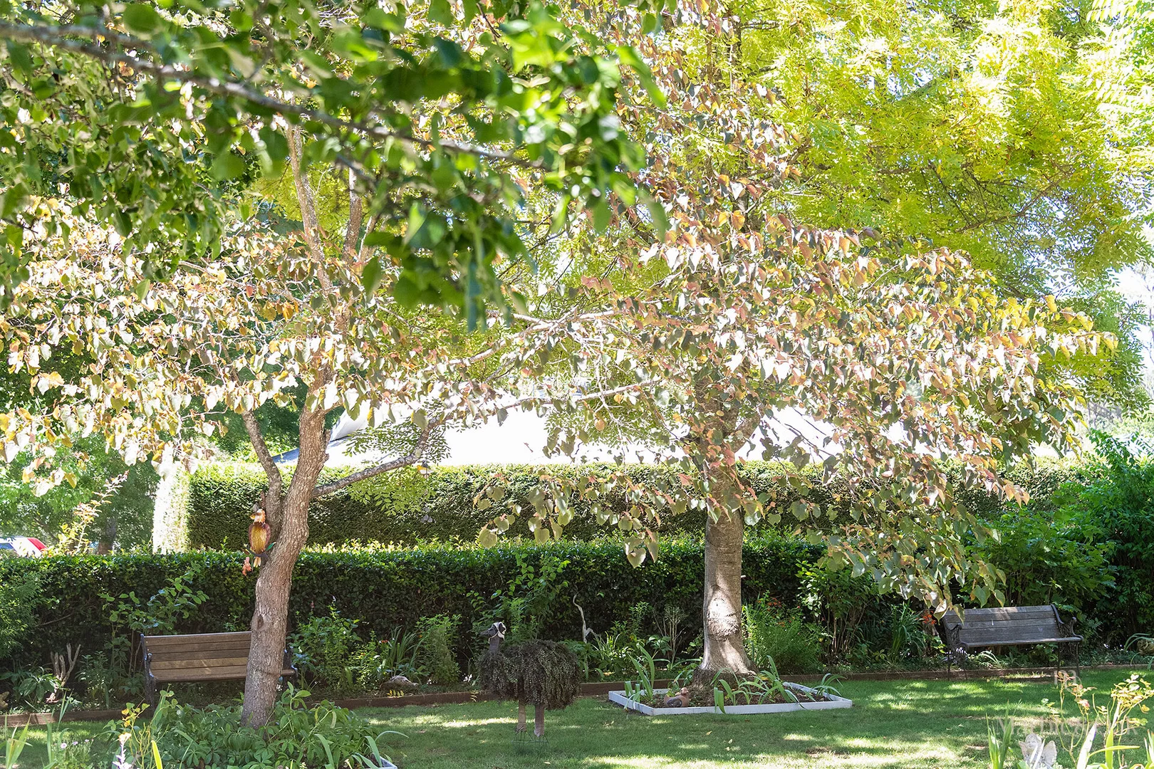 Additional image 26 of 4 Elmswood Court, Bundanoon NSW 2578