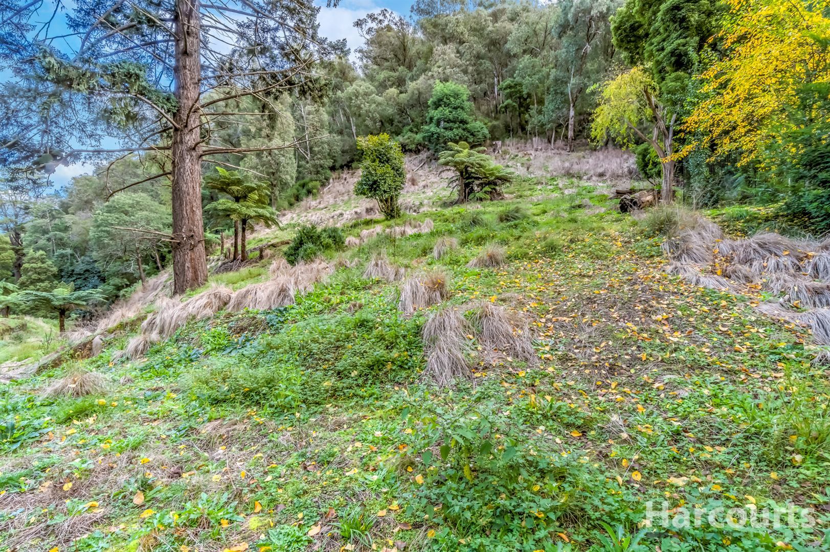 181 Main Road, Walhalla VIC 3825, Image 2